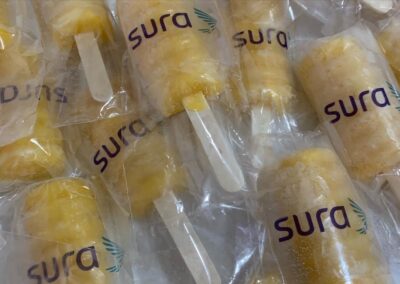 Paletas para mascotas de fruta Paletas Publicitarias, Paletas Artesanales, Paletas de Fruta.